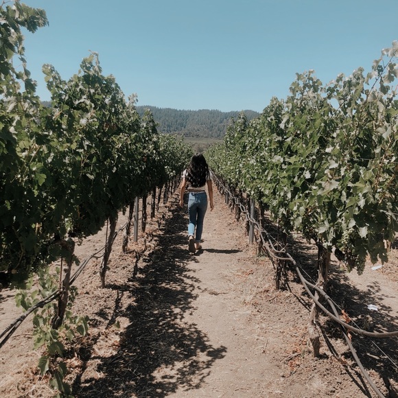 Meet your Posher, Shay!🤎 - Picture 2 of 2